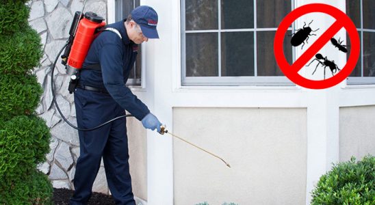 Başmakçı Böcek ve Haşere İlaçlama böcek ilaçlama ve haşere kontrolü — ilaclama-tr.com